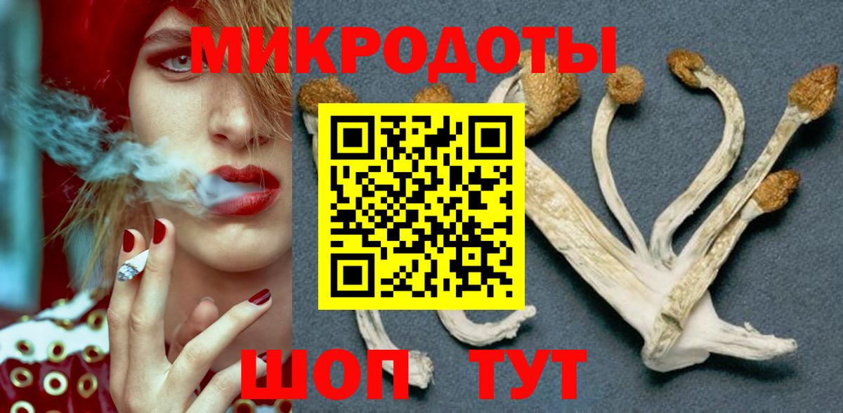 Пенза  Псилоцибиновые грибы мицелий  Вход с VPN 